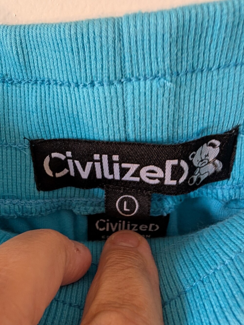Light Blue Civilized Street Wear Shorts with Bright Blue Accents - Picture 5 of 6